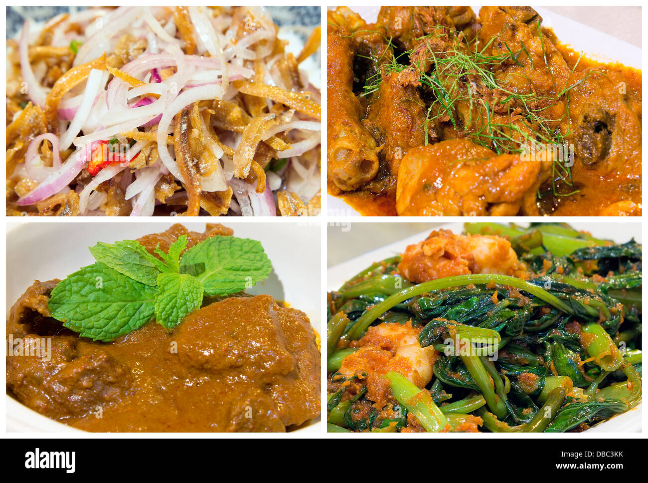 Nyonya Peranakan Food Collage with Beef Rendang Curry Chicken Ikan Bilis Chili Onions and Kangkong Prawns Dish Closeup Collage Stock Photo