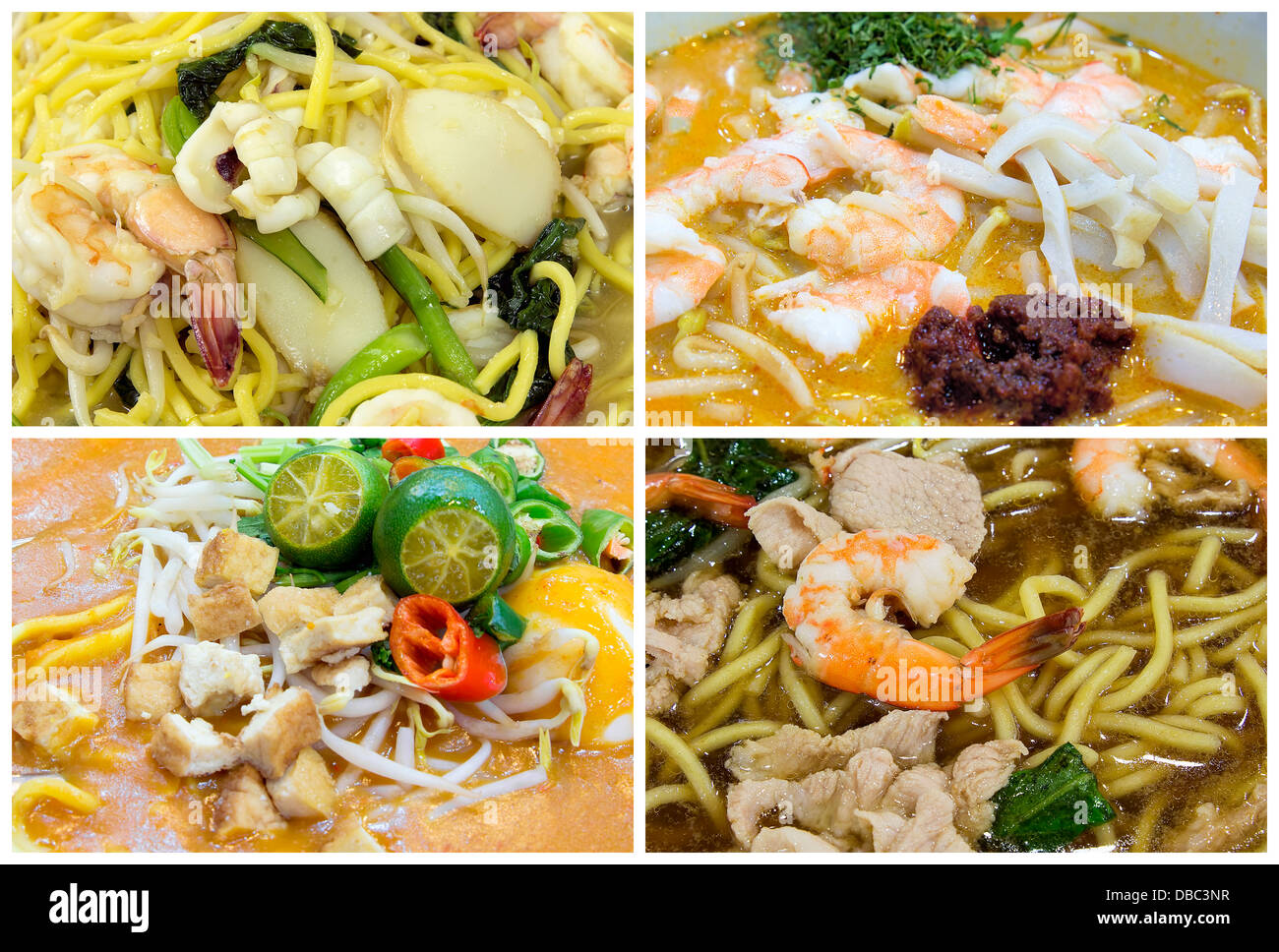 Southeast Asian Singapore Hawker Food Stall Noodles Dishes Closeup