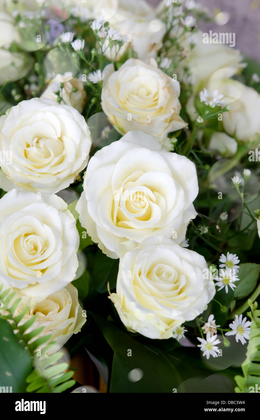 flower bouquet , white rose and leaves full background Stock Photo