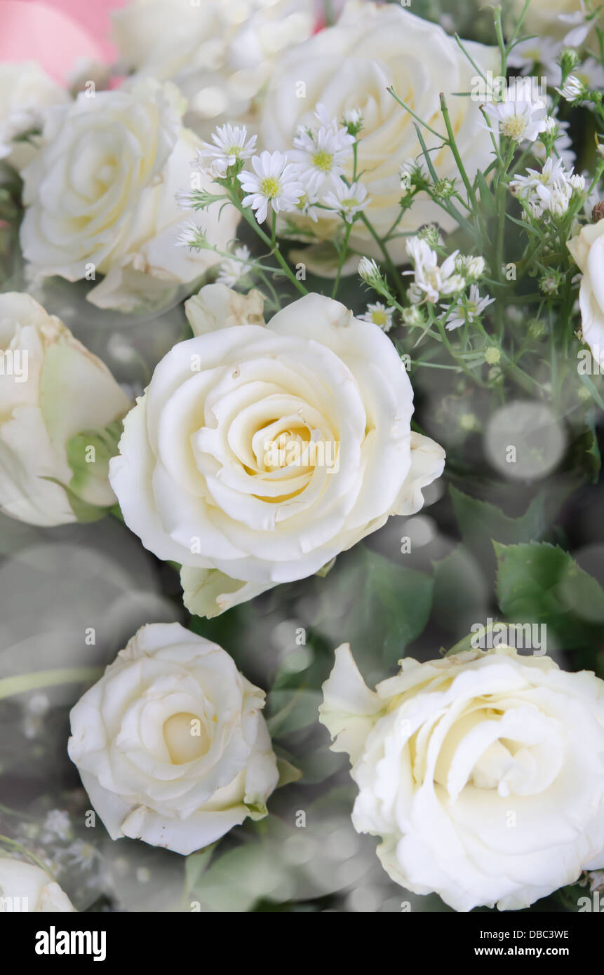 fresh white rose and mix flower bouquet , flower background Stock Photo