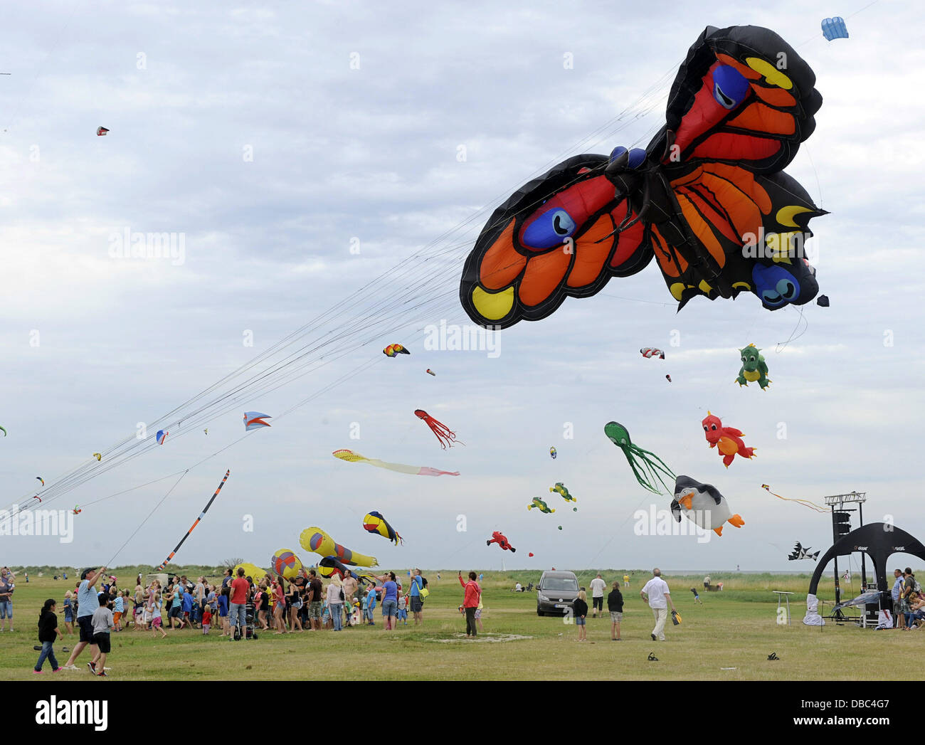 Kites of all variations are visible above the beach in Schillig