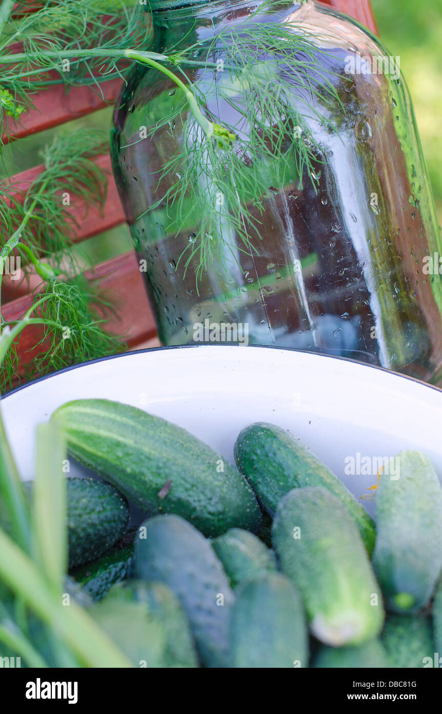 Pickling cucumber preparation process outdoors Stock Photo