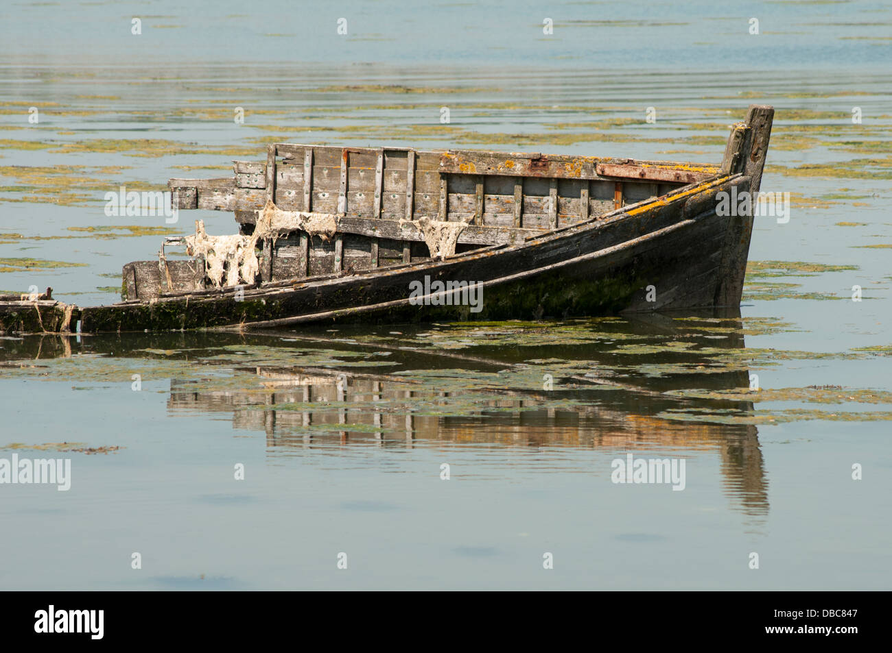 old wooden shipwreck Stock Photo - Alamy