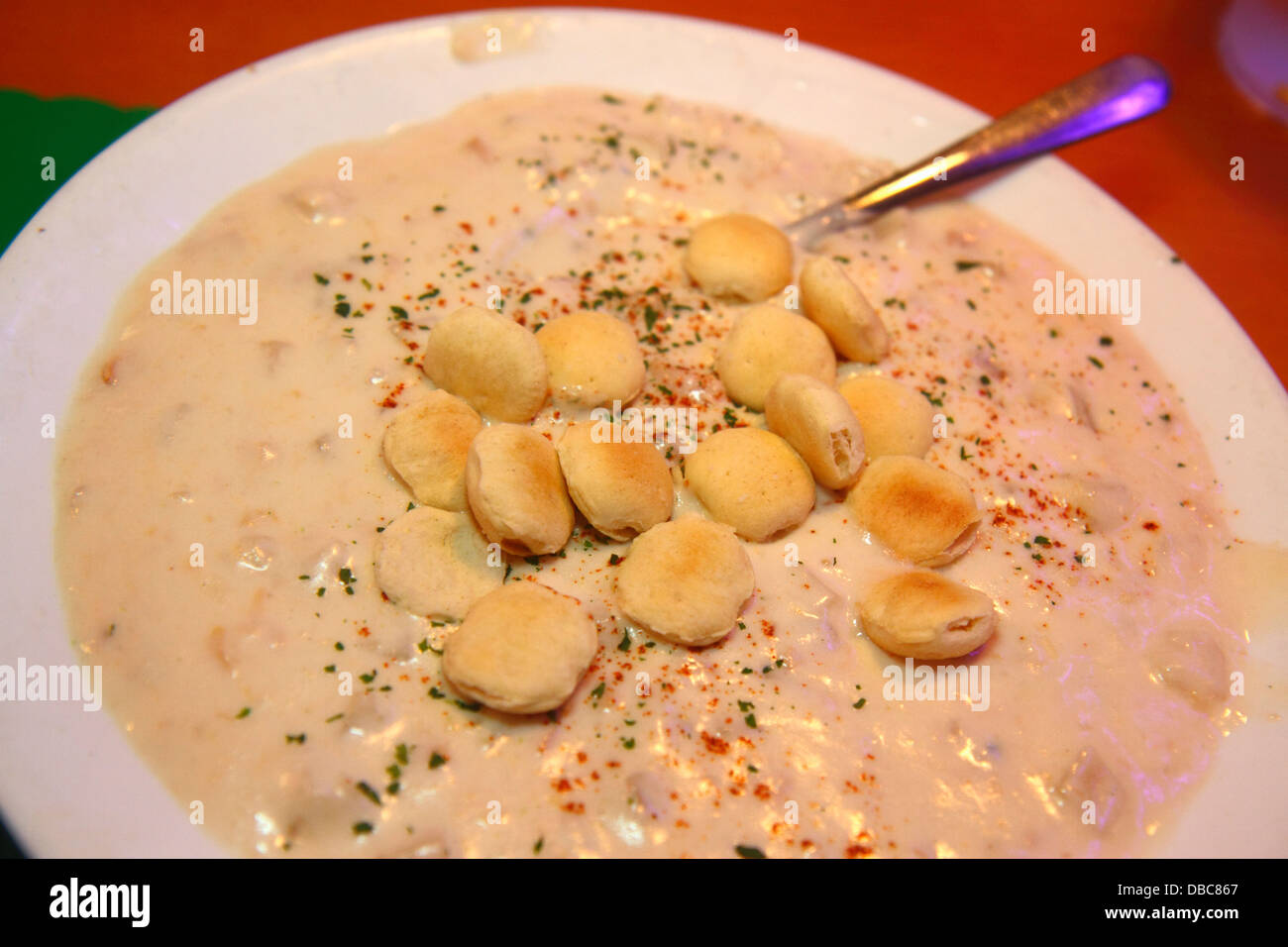Fort Ft. Lauderdale Florida,Kelly's Landing,restaurant restaurants food dining cafe cafes,cuisine,food,seafood,New England clam chowder,oyster cracker Stock Photo