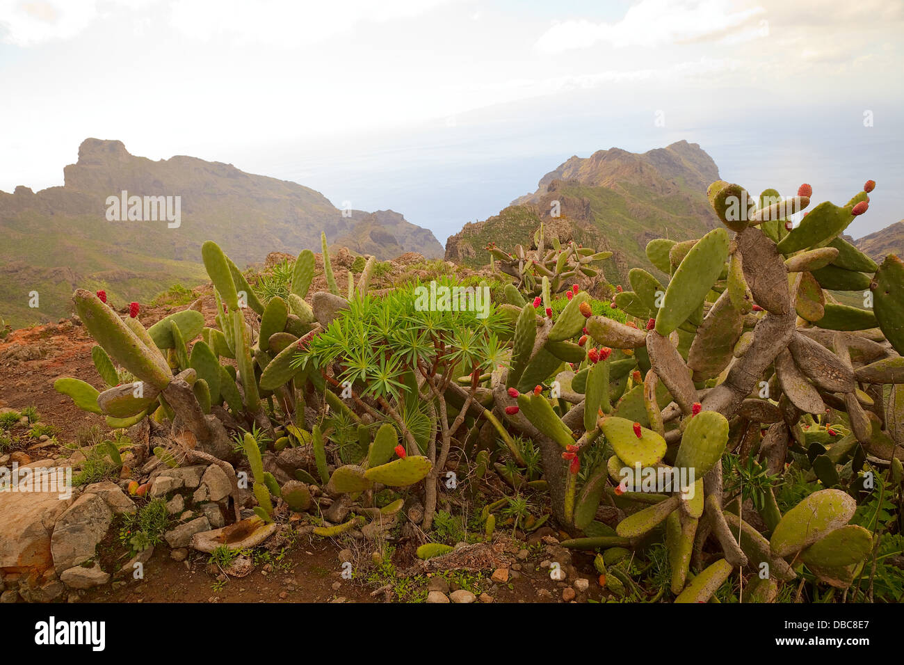 Teno Mountains, Tenerife, Stock Photo
