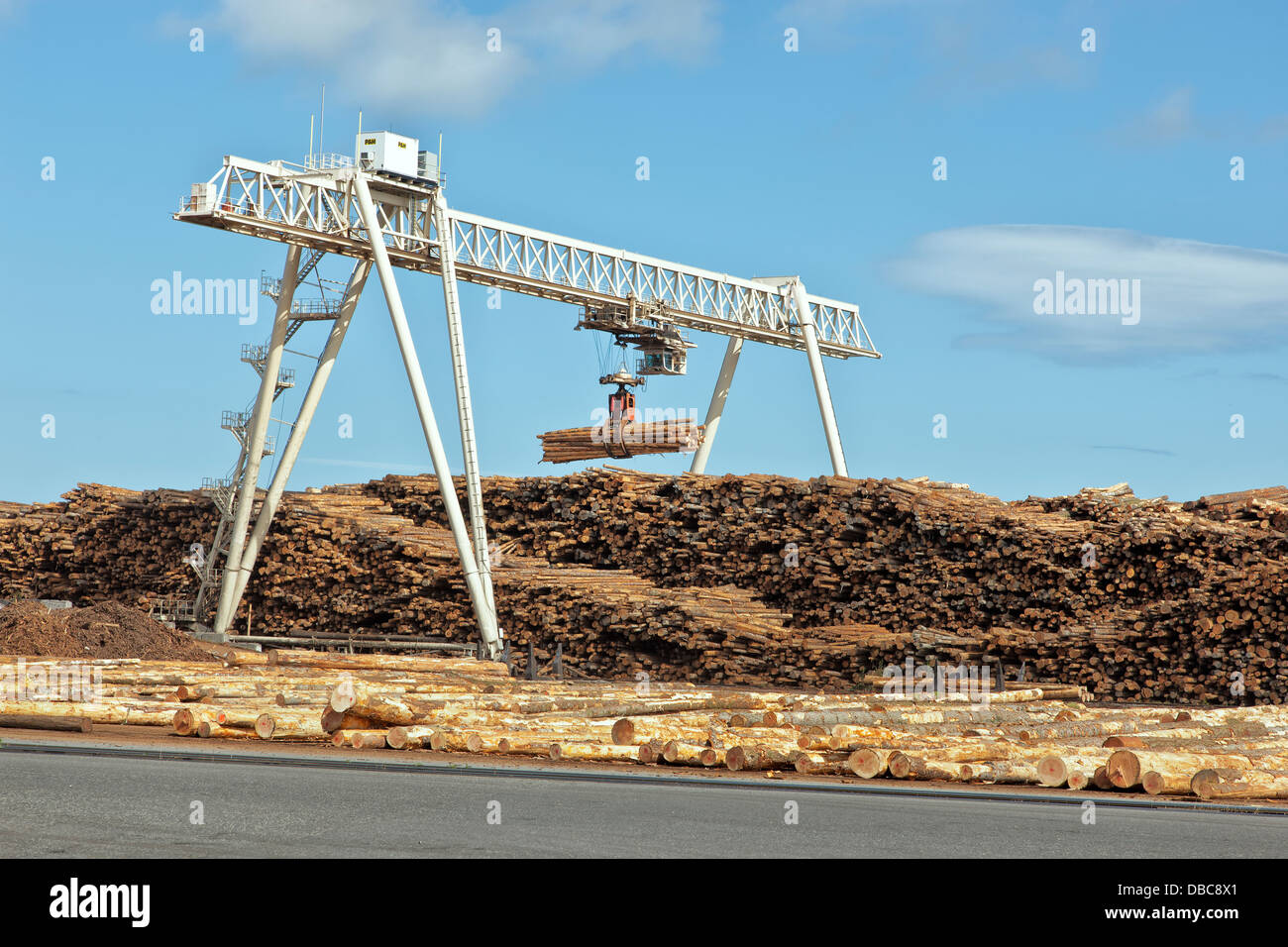 P & H crane stockpiling logs, lumber mill Stock Photo Alamy