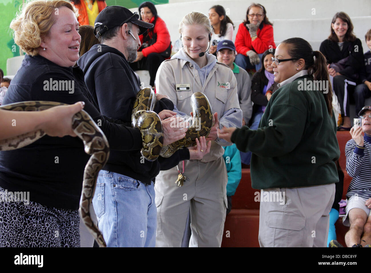 Python florida hi-res stock photography and images - Alamy