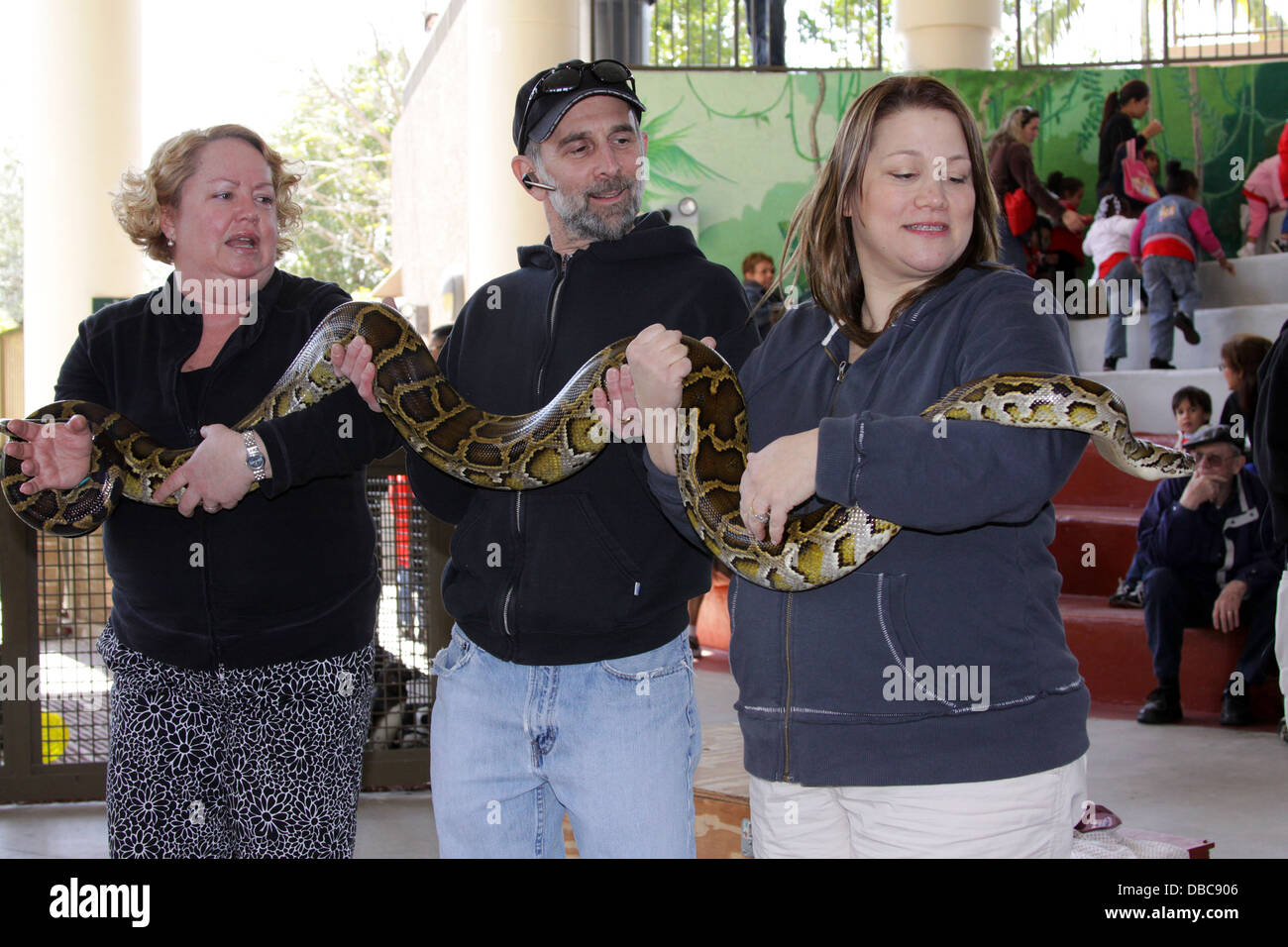 Several people holding a large python snake at an animal show in Jungle ...