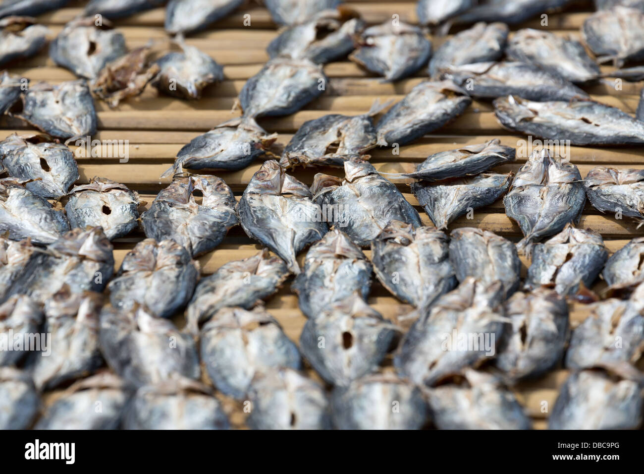 Fish market seafood philippines hires stock photography and images Alamy