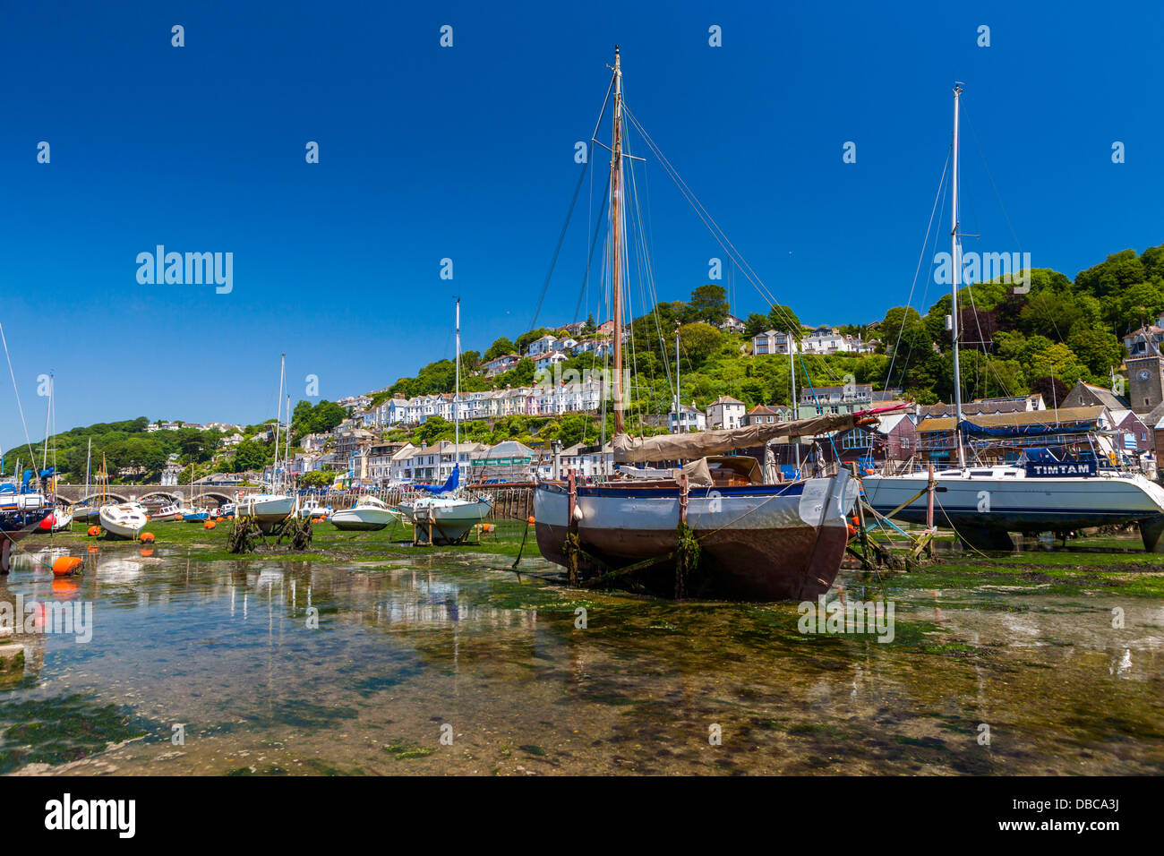 Fishing boats and sailing yachts moored in Looe harbour during low tide ...