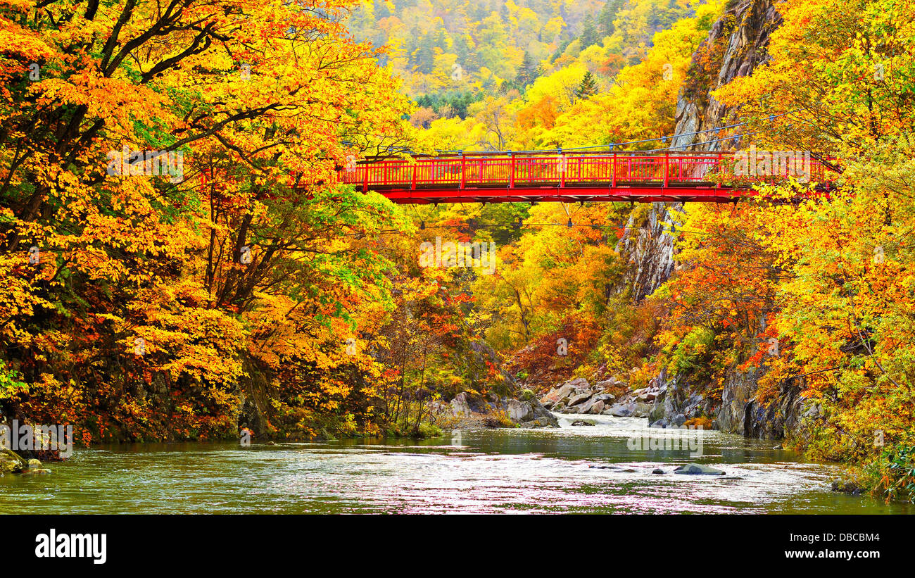 Fall foliage in Jozankei, Hokkaido, Japan. Stock Photo