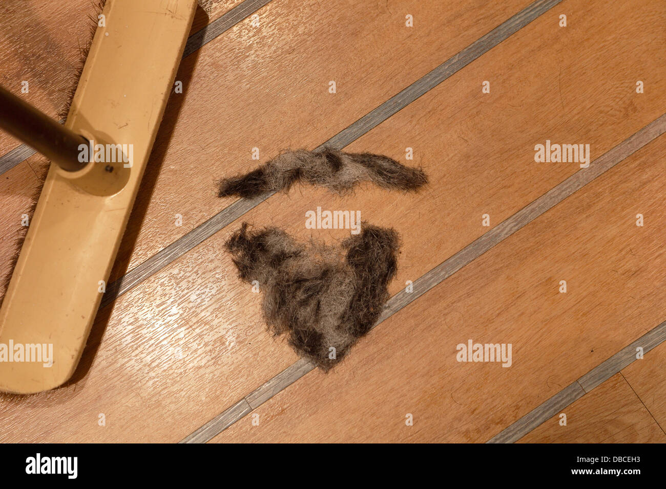 Hair cuttings on the floor swept together to make a moustache mustache and beard shape Stock Photo