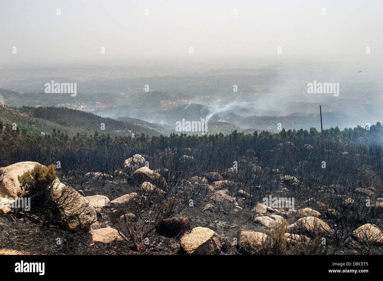 Continental summer hot weather heatwave and drought: Burnt out and blackened landscape still smoking after forest fires in the Algarve, Portugal Stock Photo