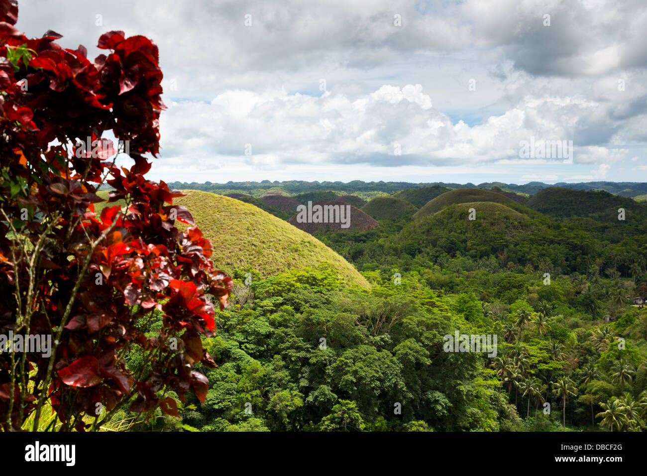 View over the famous Chocolate Hills on Bohol Island, Philippines Stock Photo
