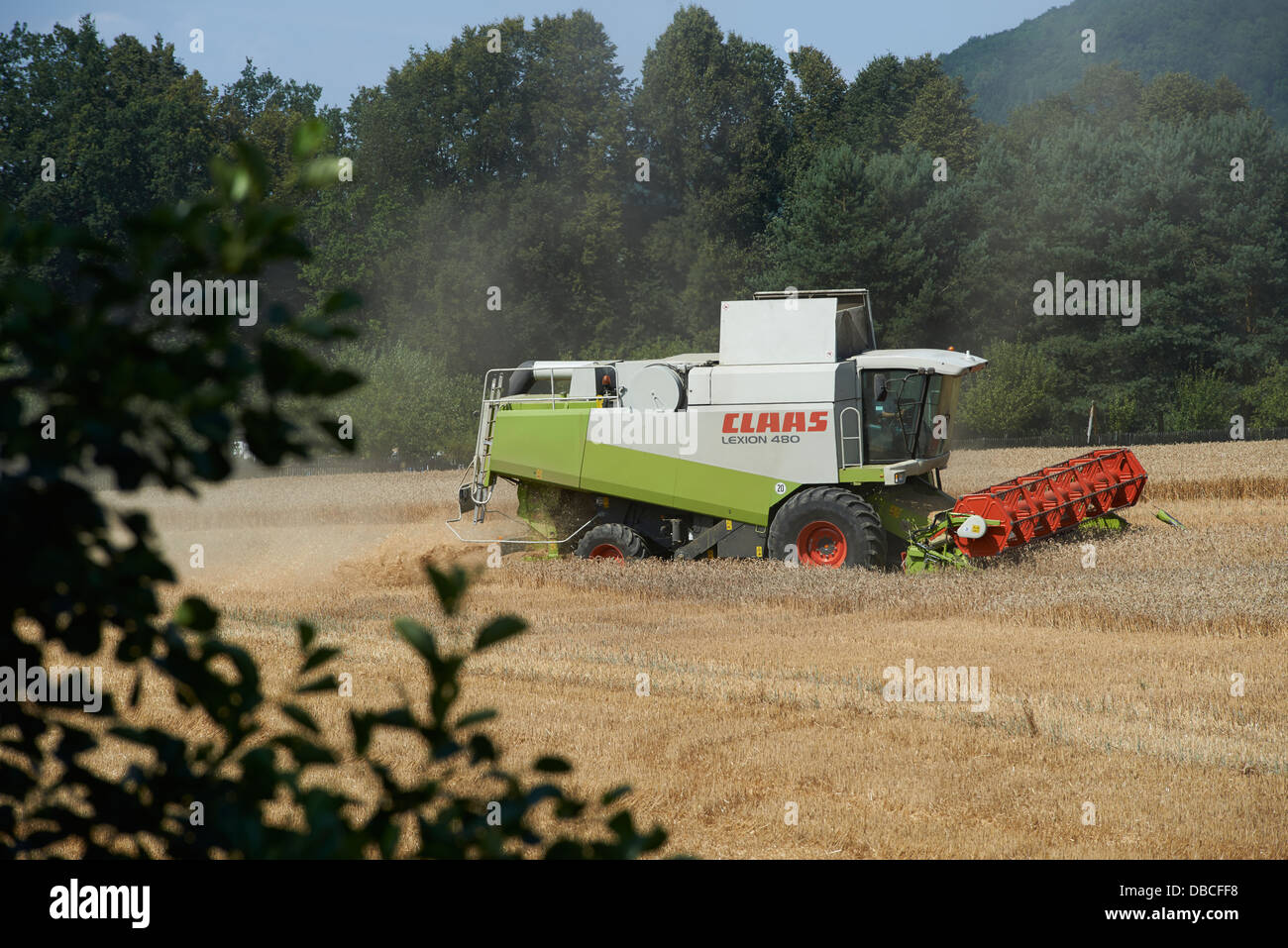 Combine harvester harvesting field of wheat. Summer Stock Photo - Alamy
