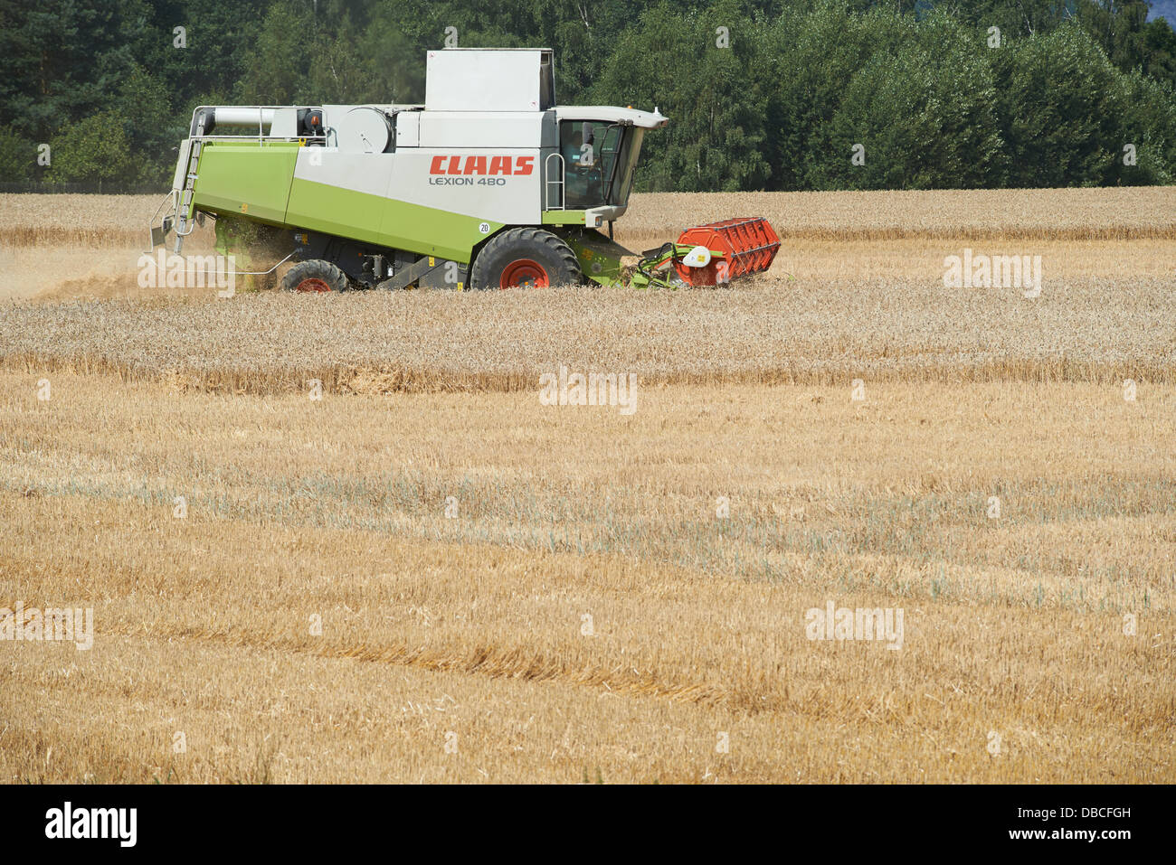 Combine harvester harvesting field of wheat. Summer Stock Photo - Alamy