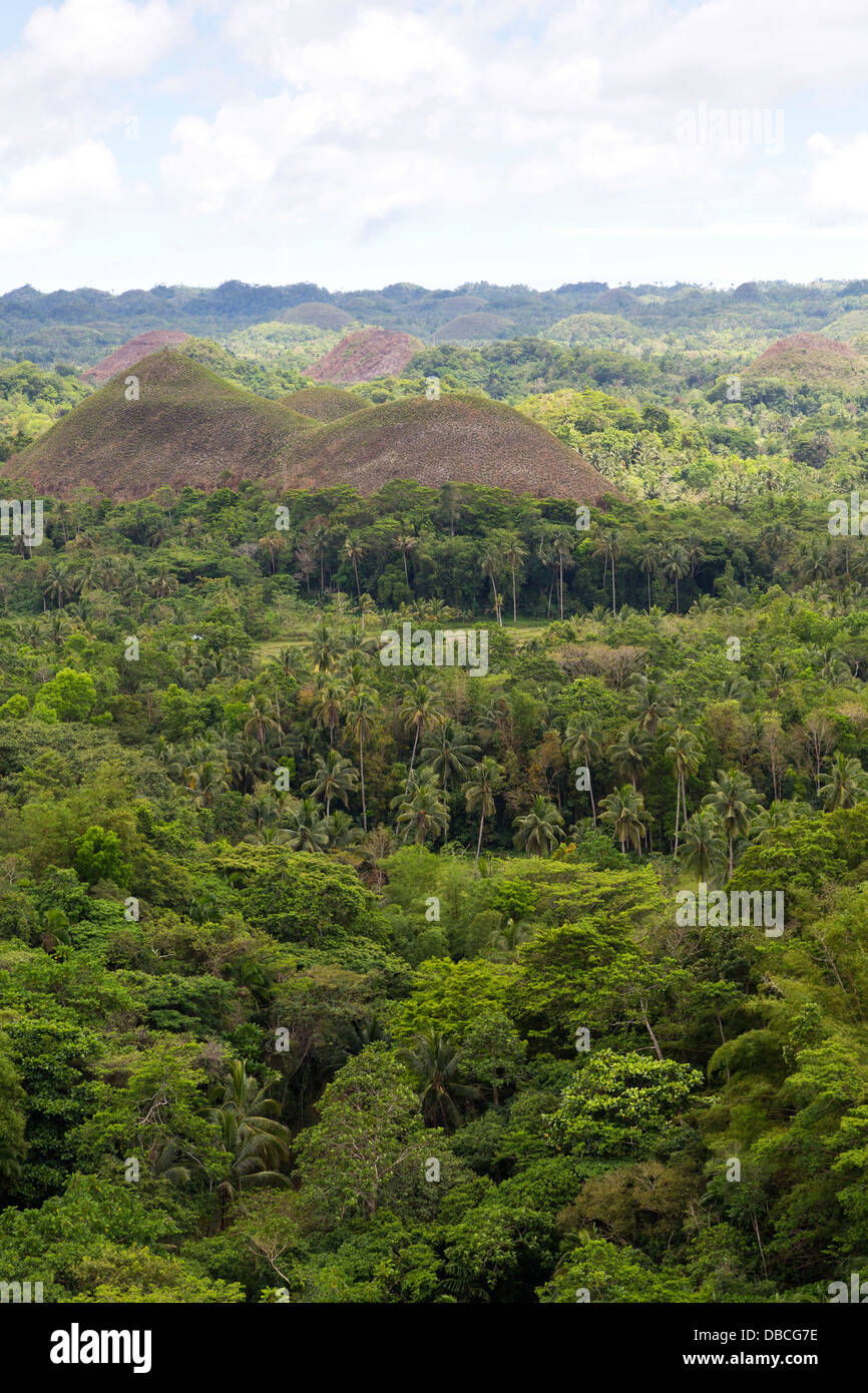 View over the famous Chocolate Hills on Bohol Island, Philippines Stock Photo