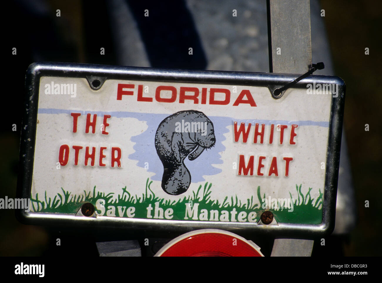Humorous license plate about manatee conservation at Everglades City