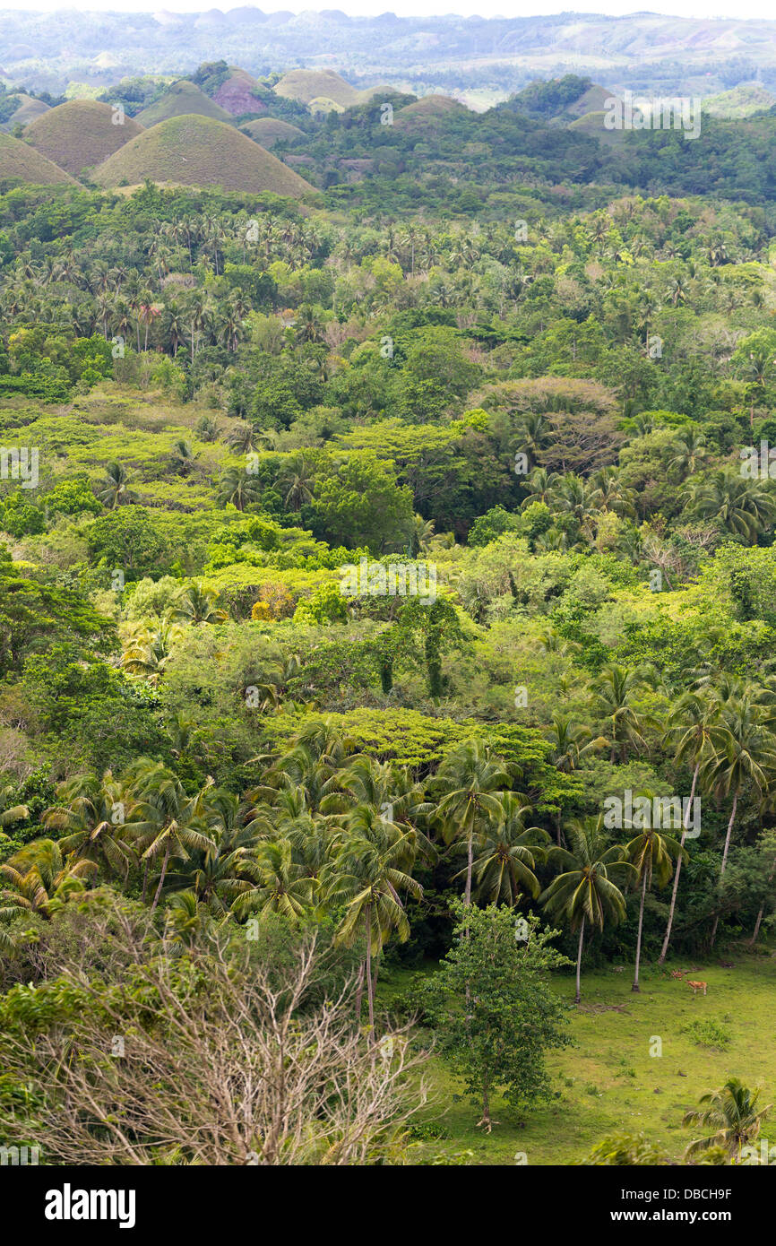 Typical Landscape on Bohol Island, Philippines Stock Photo