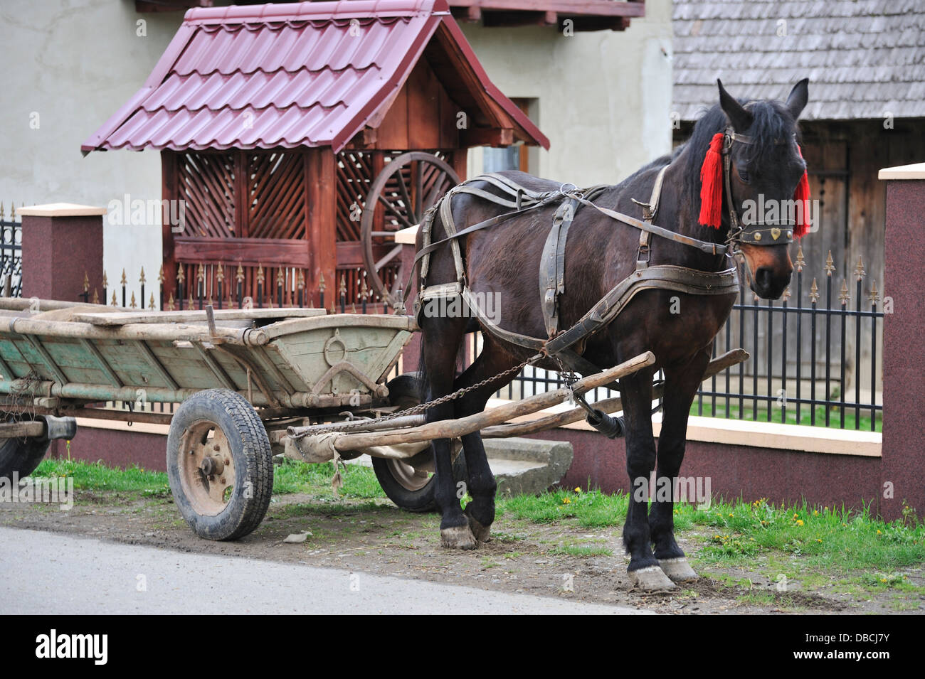 Horse cart, Gura Humorului, Bukovina, Romania Stock Photo - Alamy