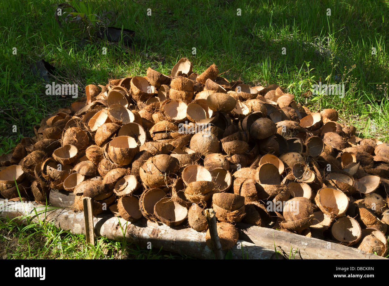 Coconut shells hires stock photography and images Alamy