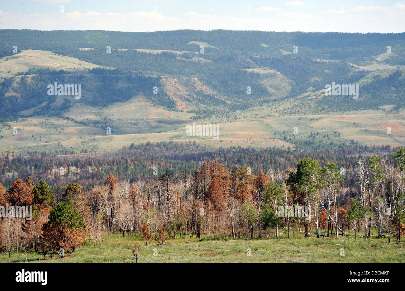View scenic landscape hi-res stock photography and images - Alamy