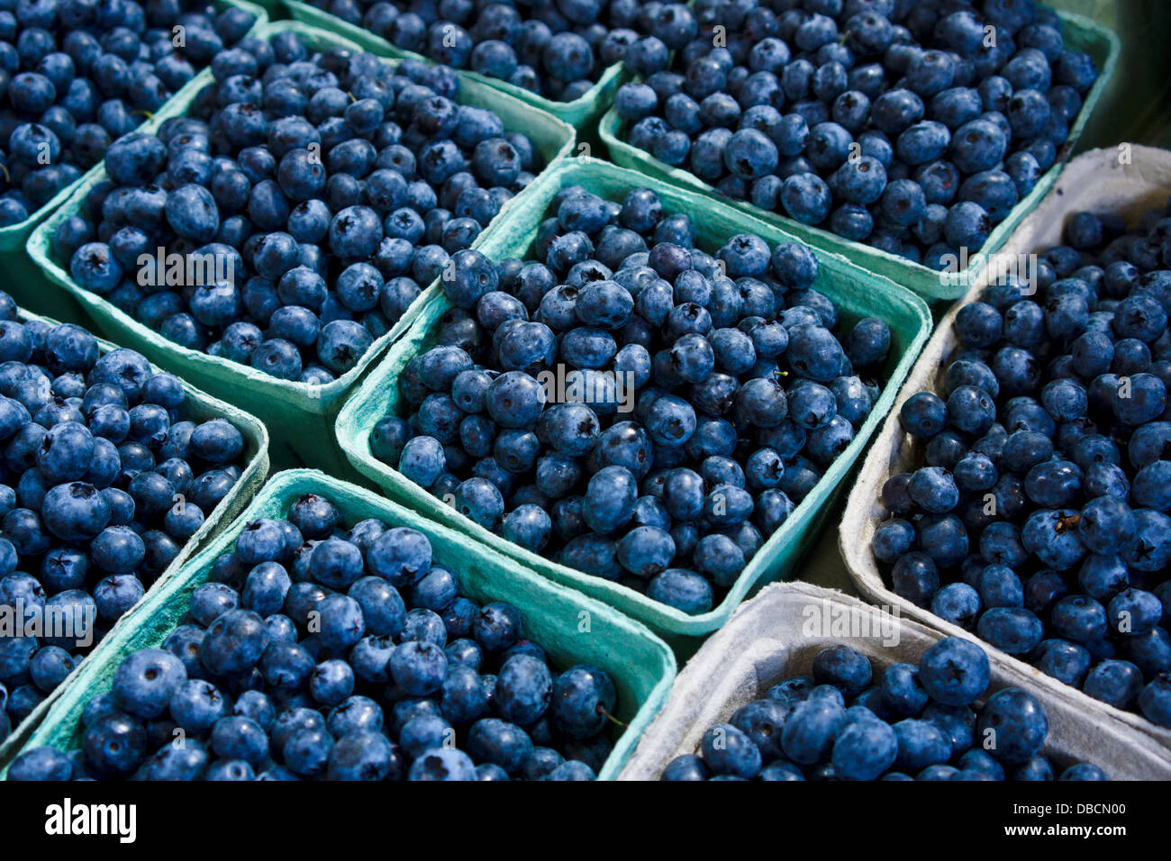 Fresh local blueberries at Granville Island Public Market. Vancouver