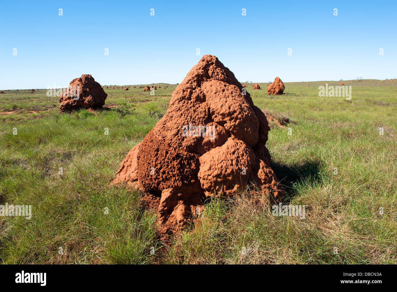 Termite mounds at the 'City of Termites' in the coastal headlands of Onslow, Western Australia Stock Photo