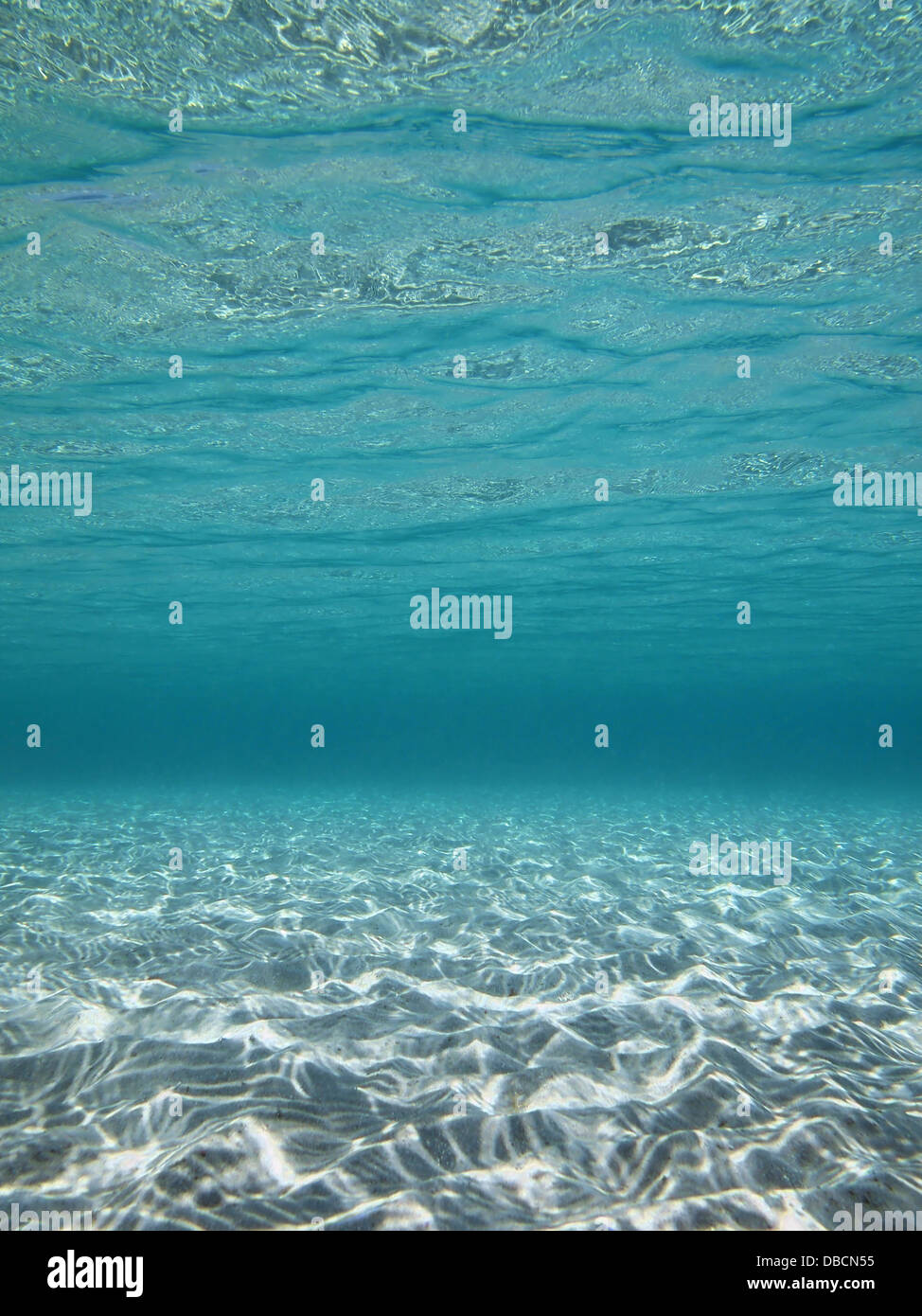 Underwater sandy seafloor in clear shallow water, Caribbean sea, natural scene Stock Photo