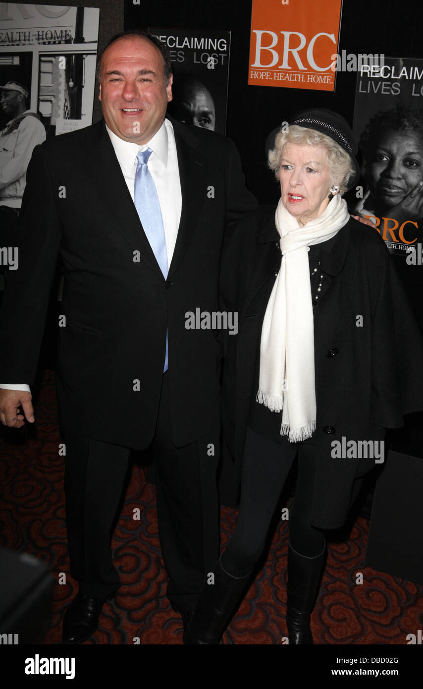 James Gandolfini and Elaine Stritch Bowery Residents Committee (BRC)  Inaugural Benefit Gala honoring Sheila Nevins New York City, USA - 06.06.11  Stock Photo - Alamy, image size:854x1390