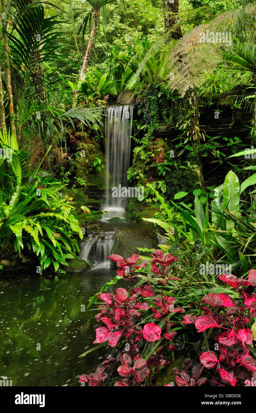 Bali Botanical Gardens Bedugul Indonesia Asia Stock Photo Alamy