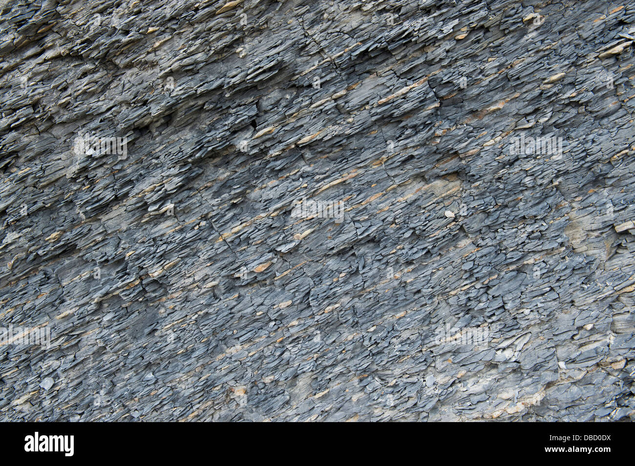 Shale rock. Northumberland Coastline, Englandgeological Stock Photo