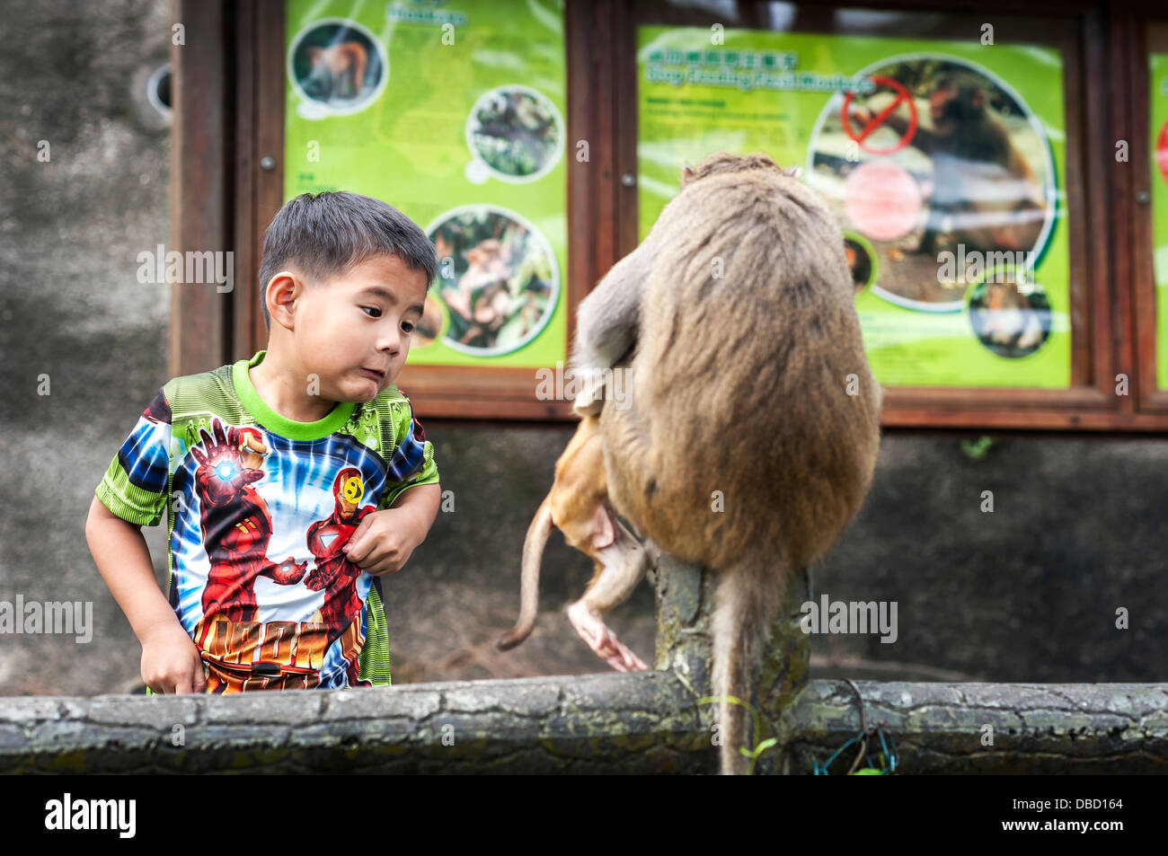 Young boy frightened by wild monkeys, Kam Shan, Hong Kong Stock Photo
