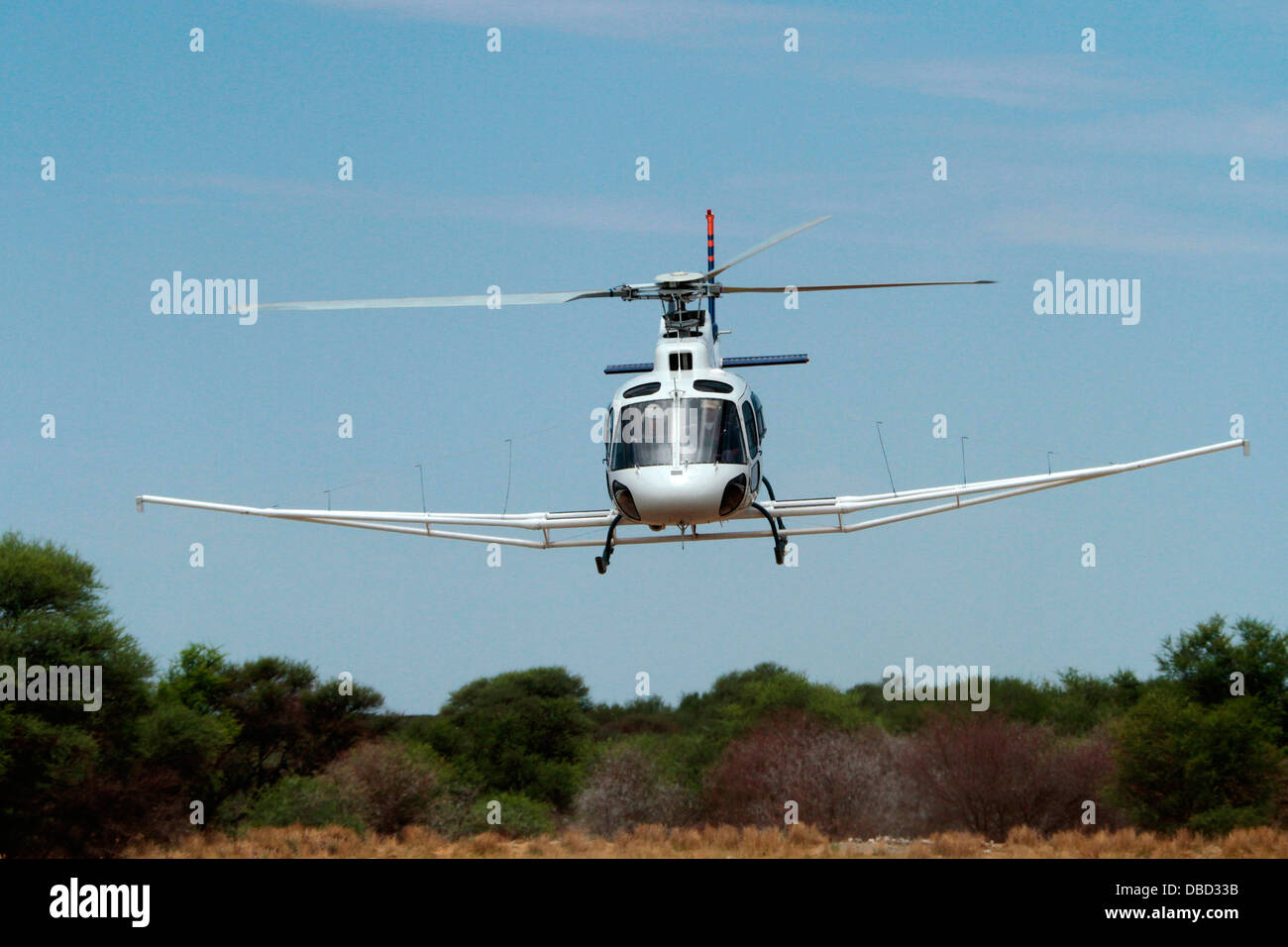 The Eurocopter AS350 Ecureuil; squirrel flies a line for a geophys mineral survey near Otjiwarongo in Namibia Stock Photo