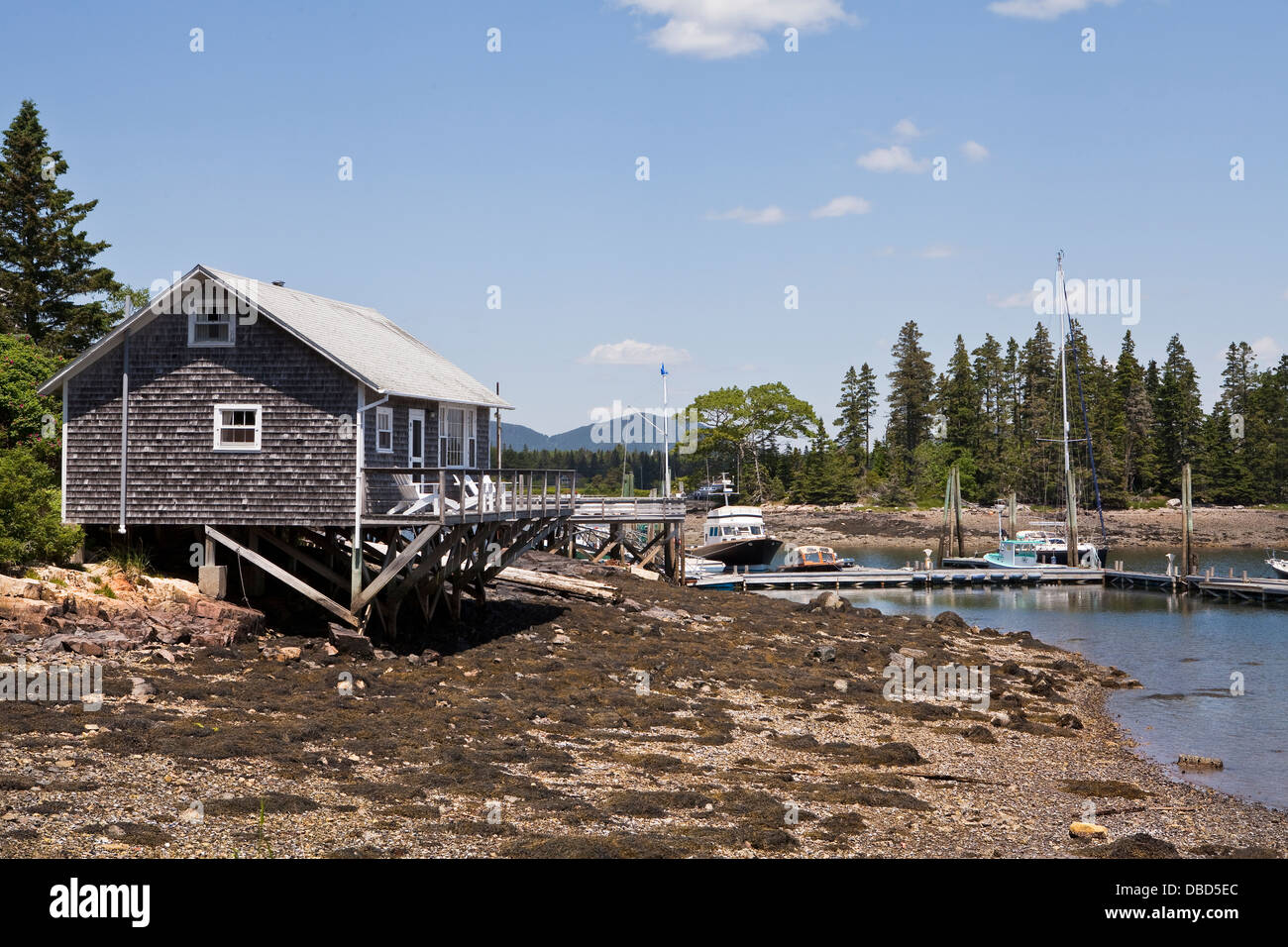 Fishing vessels are pictured in the harbor of Tremont, Maine Stock