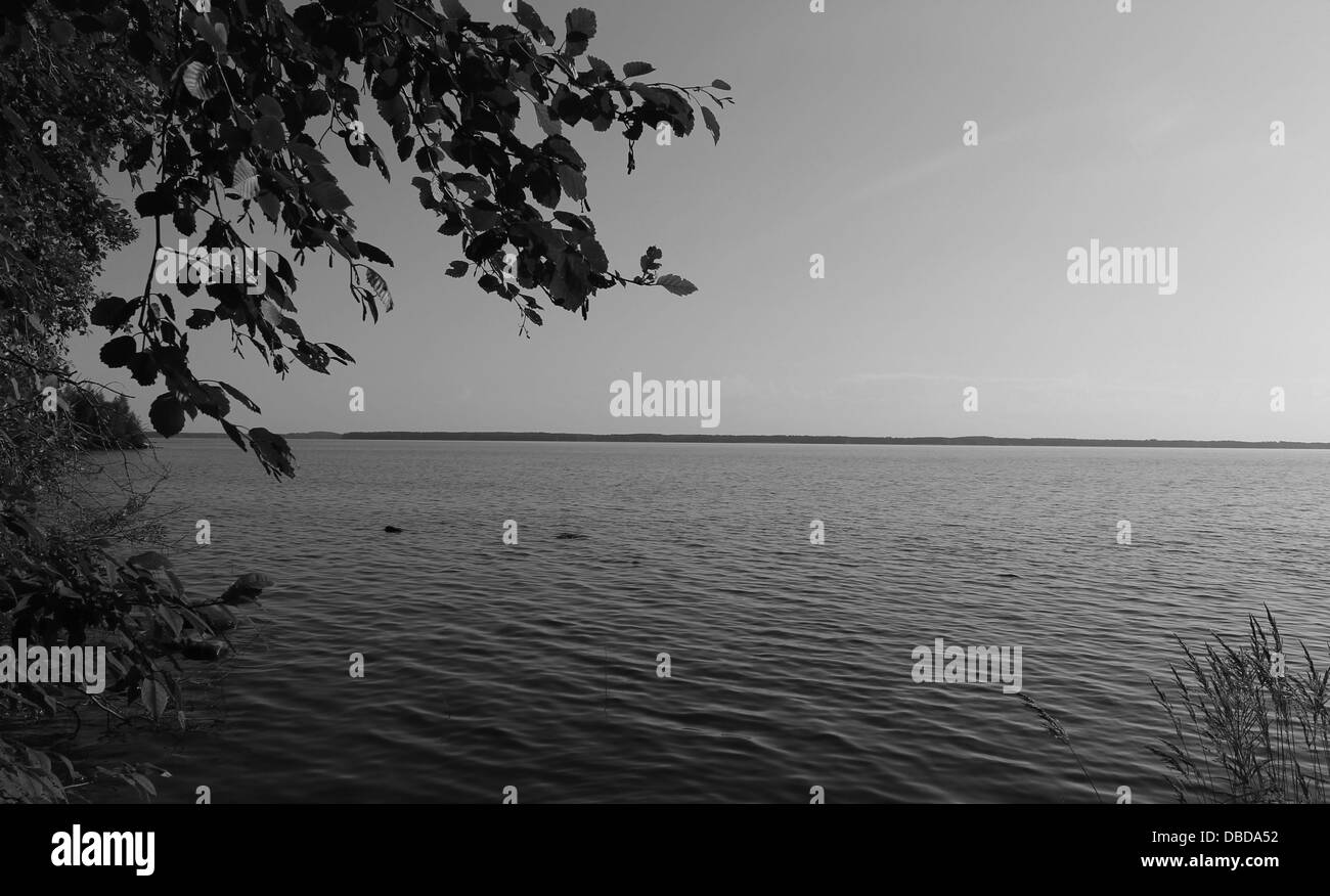 Summer lake Black and White Stock Photos & Images - Alamy
