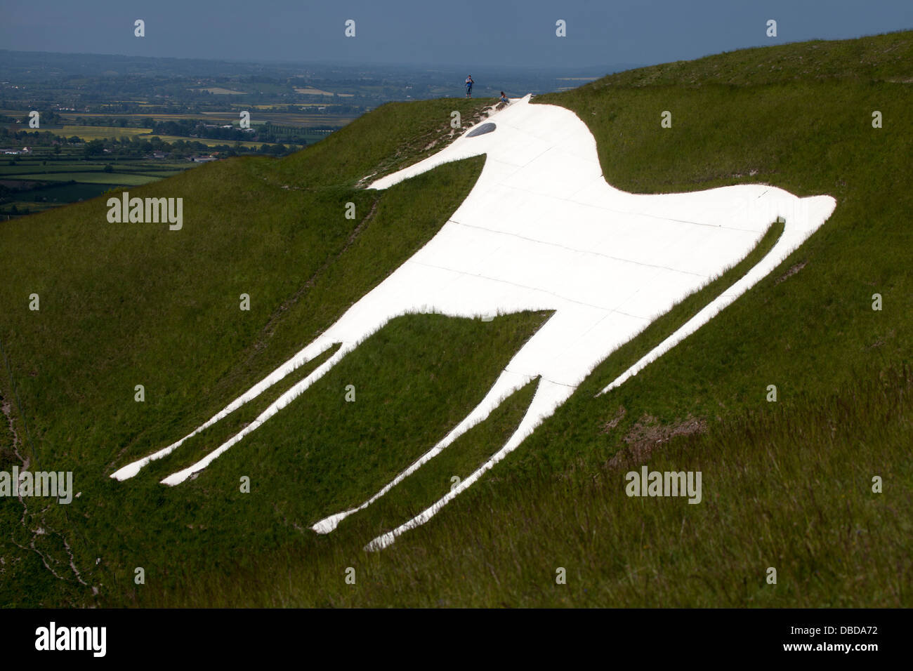 The Westbury White Horse Wiltshire England UK Stock Photo