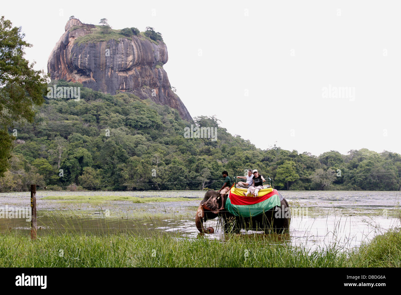 ELEPHANT RIDE SIGIRIYA SRI LANKA 10 March 2013 Stock Photo Alamy