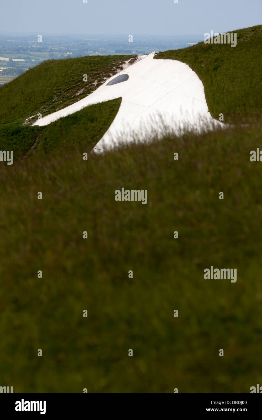 The Westbury White Horse Stock Photo Alamy