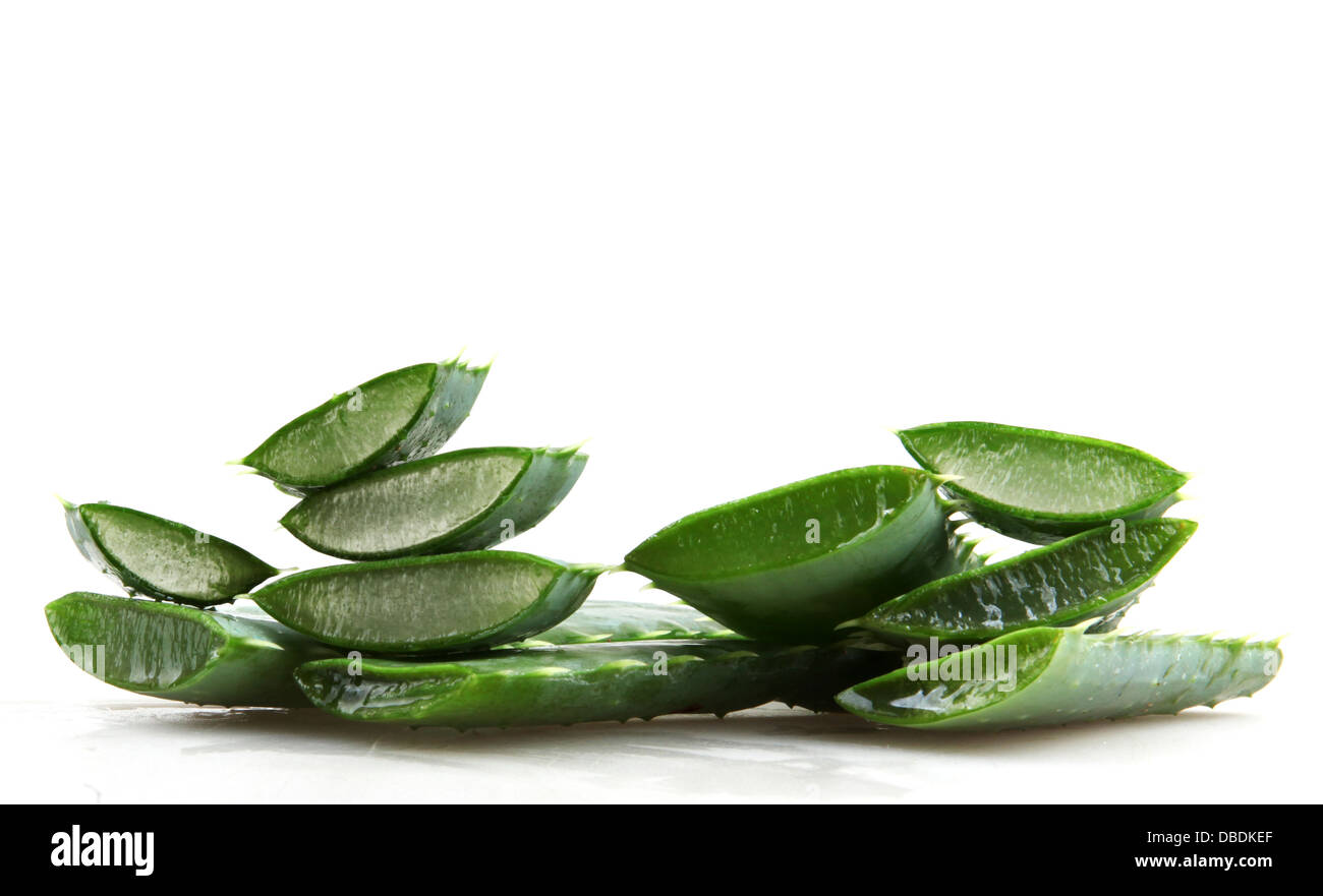 Aristata aloe Stock Photos and Images