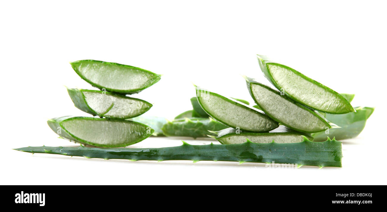 Aloe vera Stock Photo