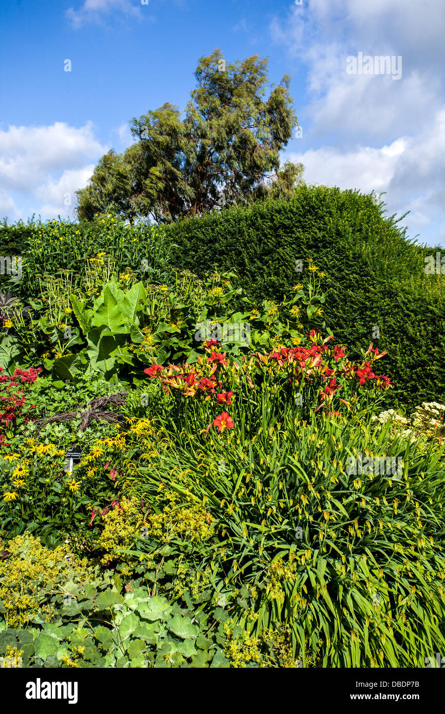 Garden Bedding at RHS Hyde Hall Gardens Stock Photo Alamy