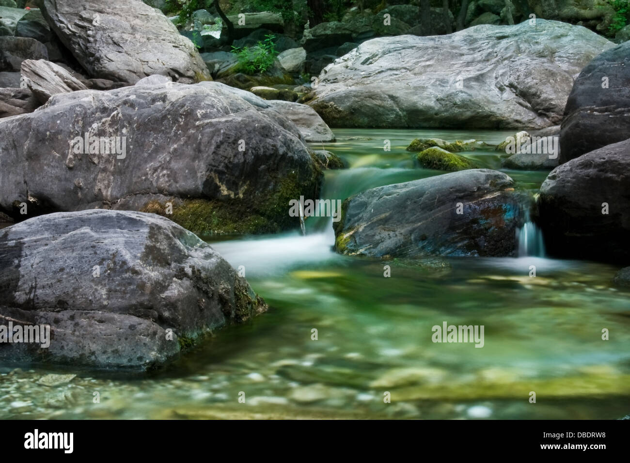 Forest river landscape hi-res stock photography and images - Alamy