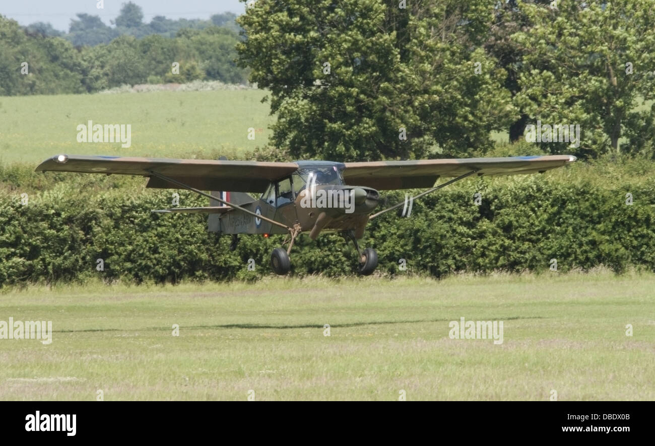 Auster AOP landing on grass runway Stock Photo