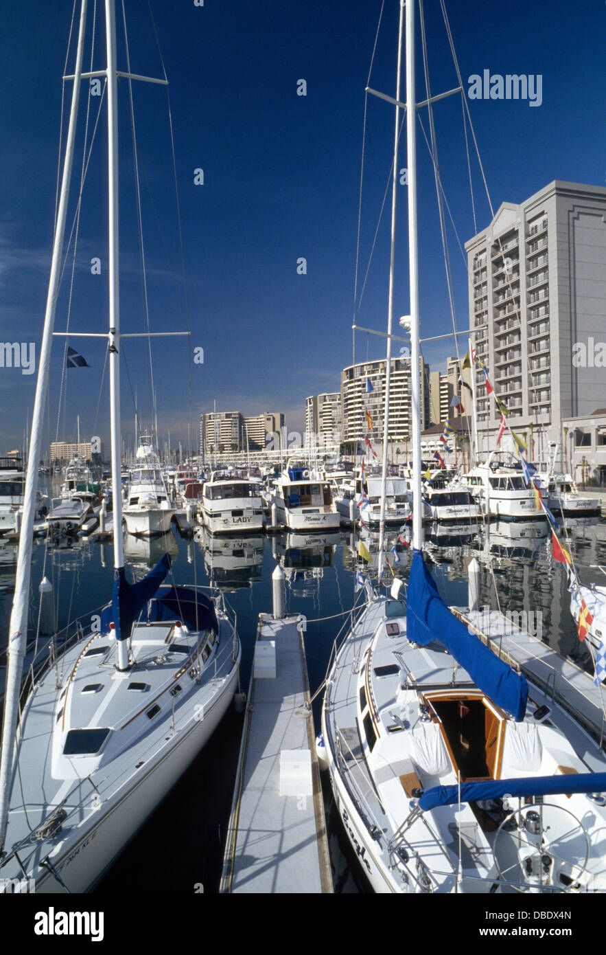 Marina del Rey in Southern California is home to the world's largest