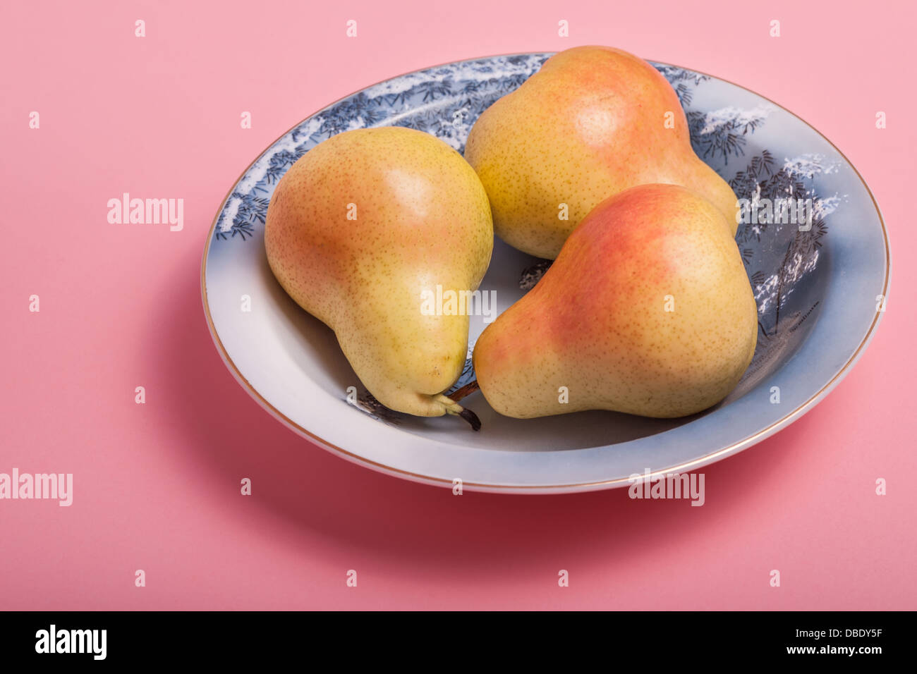 Fresh ripe Bartlett Pears in a blue china bowl on a pink background
