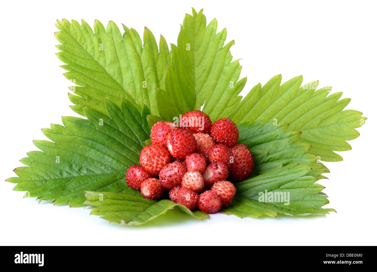 Three fruit fruits strawberry hi-res stock photography and images - Alamy