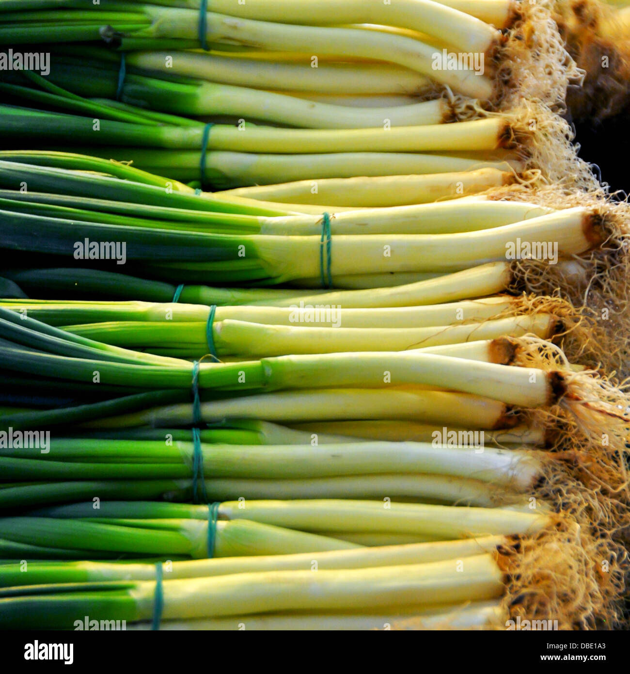 Spring onions at a Market Stall Photographed in Budapest, Hungary Stock Photo