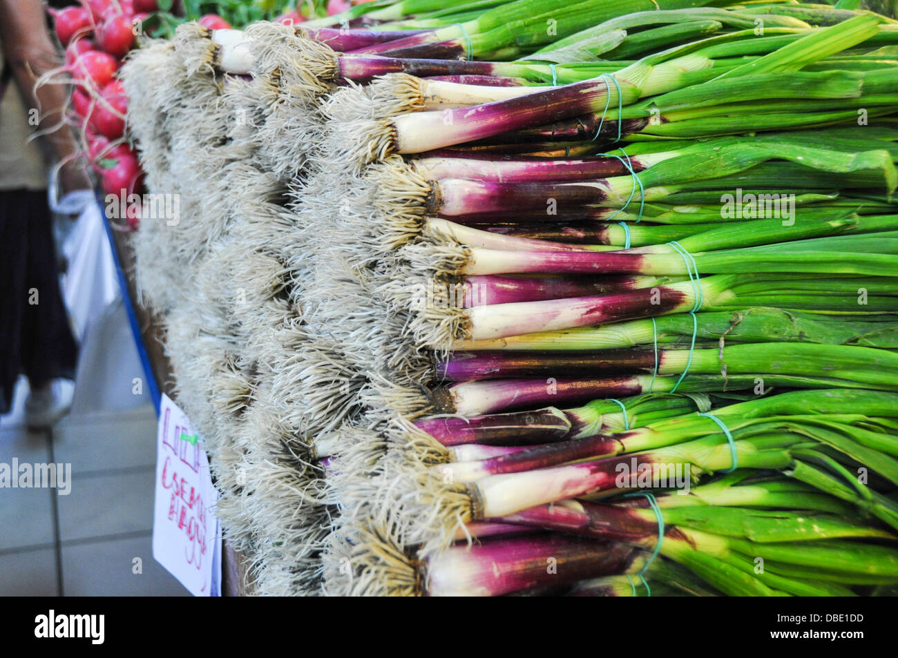 Spring onions at a Market Stall Photographed in Budapest, Hungary Stock Photo