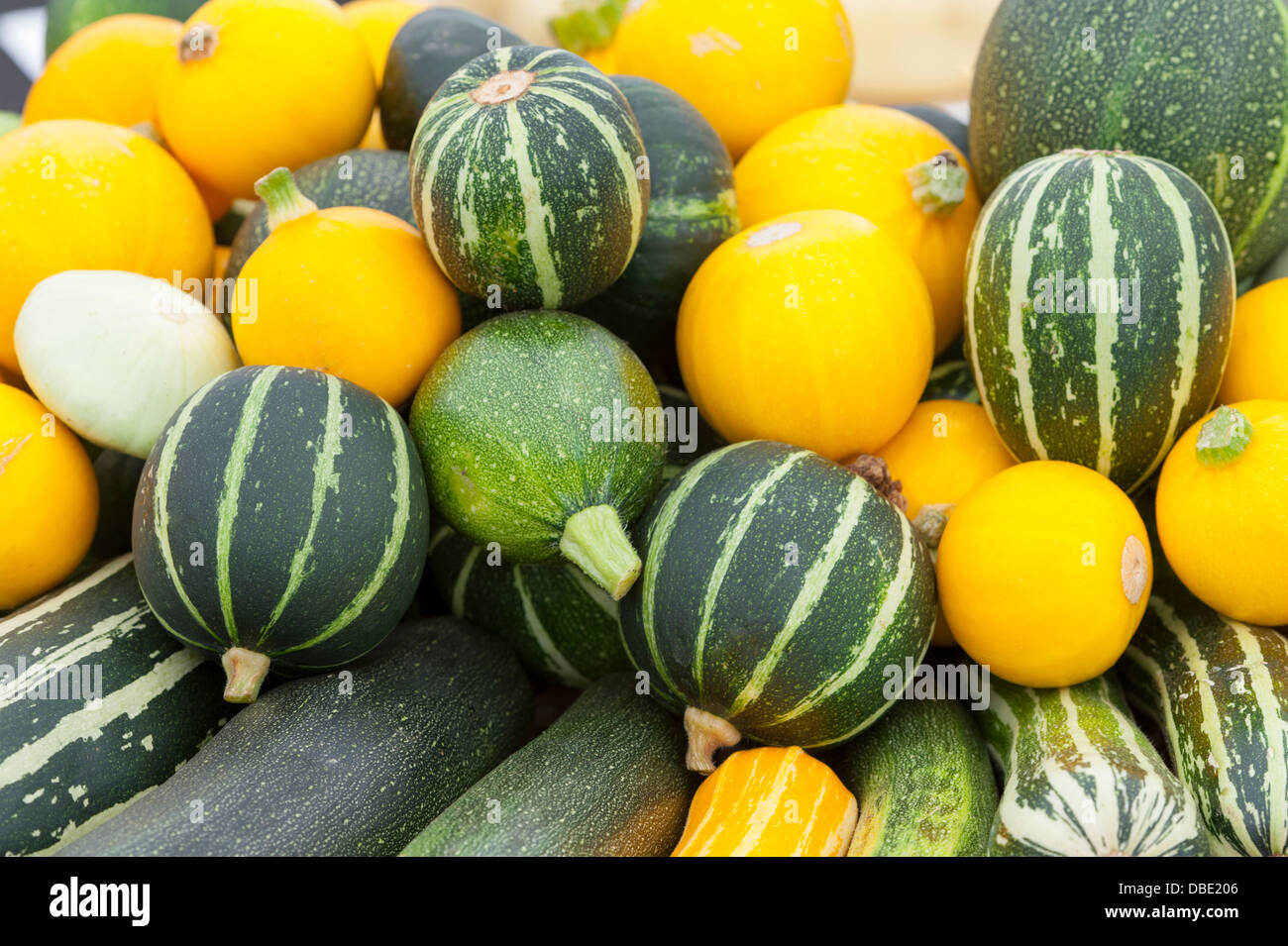 heap of mixed squashes Stock Photo